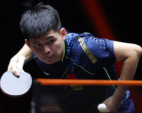 尤其是在引 尤其是在引